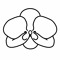 orchid.fm