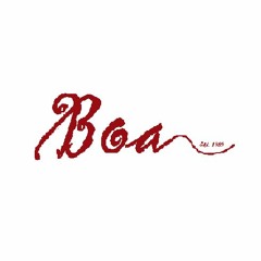 Boa Group