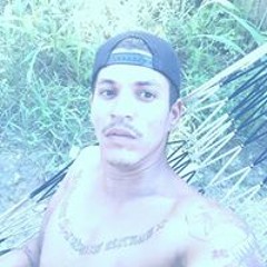 Bruno br