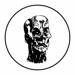 The Cassini Division