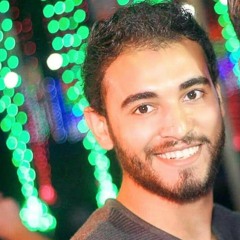 Mahmoud Raafat Borham