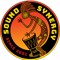 soundsynergy