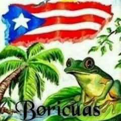 Andrew Rosario