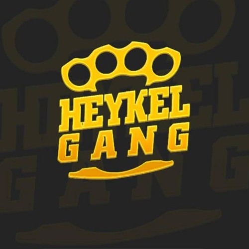 Heykel Gang’s avatar