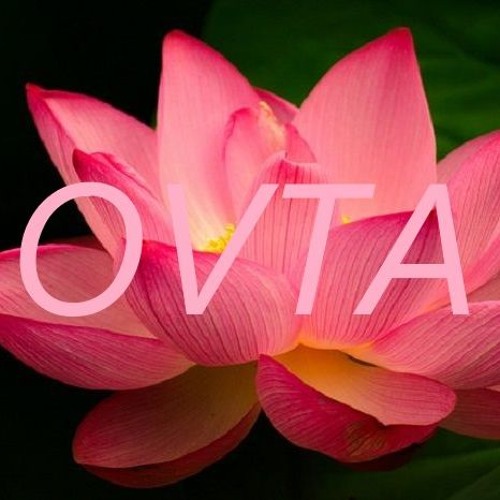 Ovta Music’s avatar