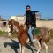 Abdo