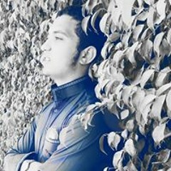 Hesham Salom