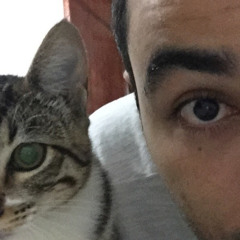 Erivaldo Lima