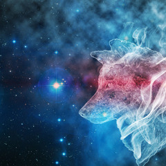JustSpaceWolf