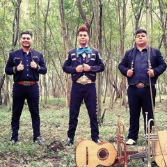Mariachi Juvenil De Lujo