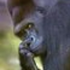 Ricardo Borges dos Santos