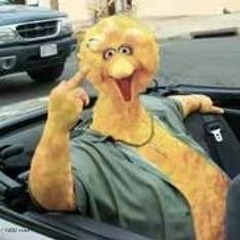 BigBiird