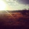 DreamScape