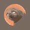 SELECTA SLOTH