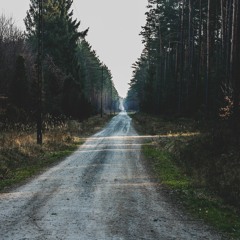 TreeDimensions