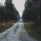 TreeDimensions
