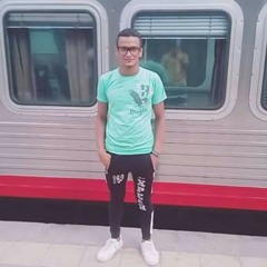 Mahmoud Ragab Sweilem