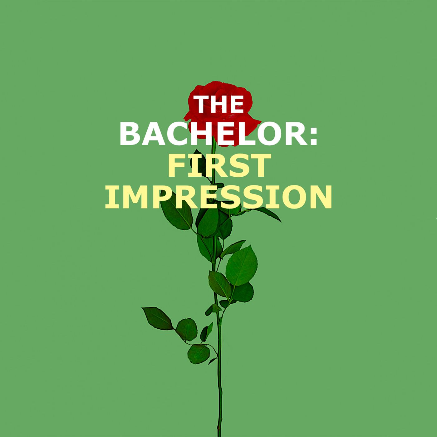 The Bachelor: First Impression!