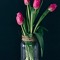 Gursharan Cheema