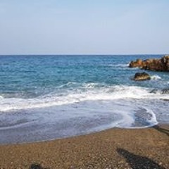 체린김