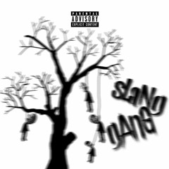 SLANG GANG™