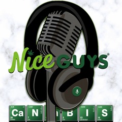 Not Your Average Nice Guys podcast