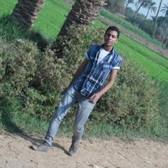 Bassem Ahmed