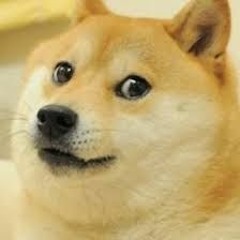 doge master