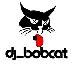 dj_bobcat
