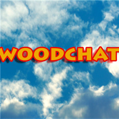woodchat RBLX Gaming