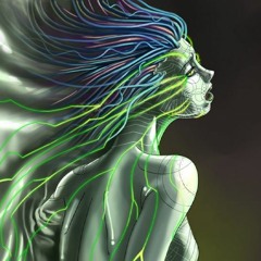 Hi-Tech_Low-Life