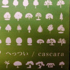 cascara