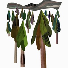 Soft Hill Foundation