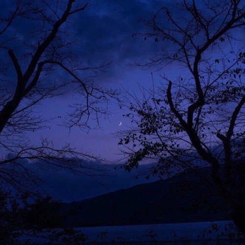 Counting Stars - SugarCult