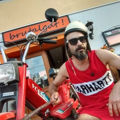 FRODO_der_Mäusebusshart