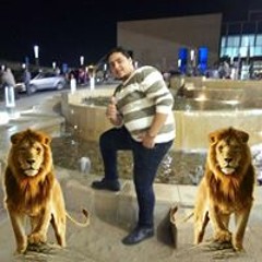 بودى