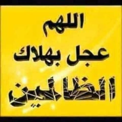 Alaa Shahin