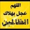 Alaa Shahin