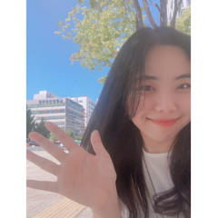 김쏘로미의 모든것