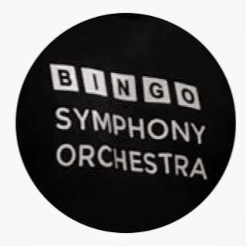 Bingo Symphony Orchestra’s avatar