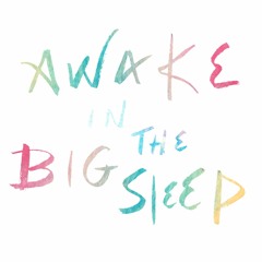 Awake In The Big Sleep