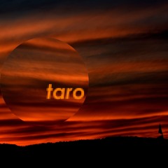 Taro