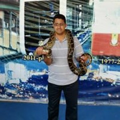 Ali Hamid Abed