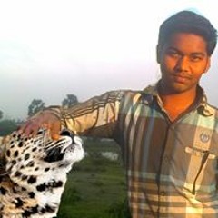 vimalraj