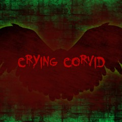 Crying Corvid