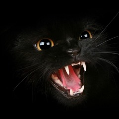 Catlist