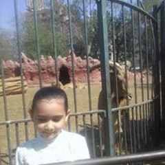 ahmed hanafy