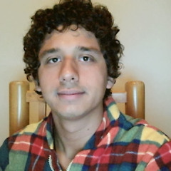 Diego Mendoza