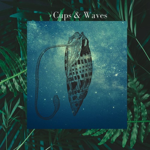 Cups & Waves’s avatar
