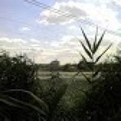 Дима Ремига